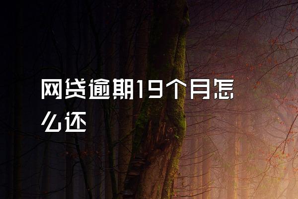 网贷逾期19个月怎么还