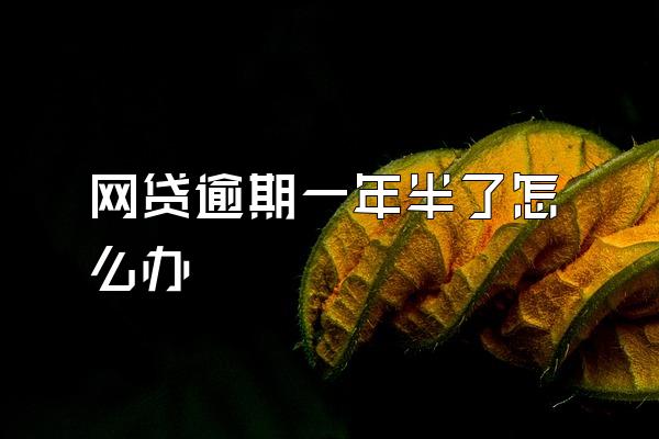 网贷逾期一年半了怎么办