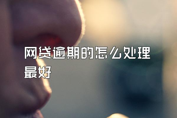 网贷逾期的怎么处理最好