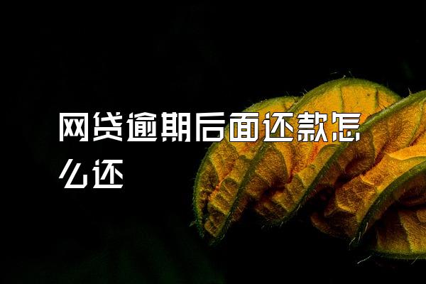 网贷逾期后面还款怎么还