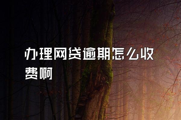 办理网贷逾期怎么收费啊