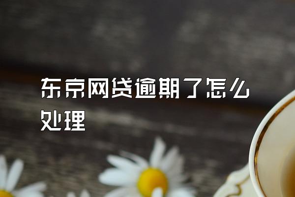 东京网贷逾期了怎么处理