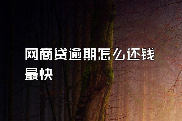 网商贷逾期怎么还钱最快