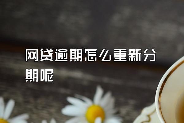 网贷逾期怎么重新分期呢