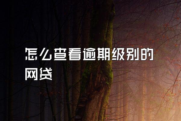 怎么查看逾期级别的网贷