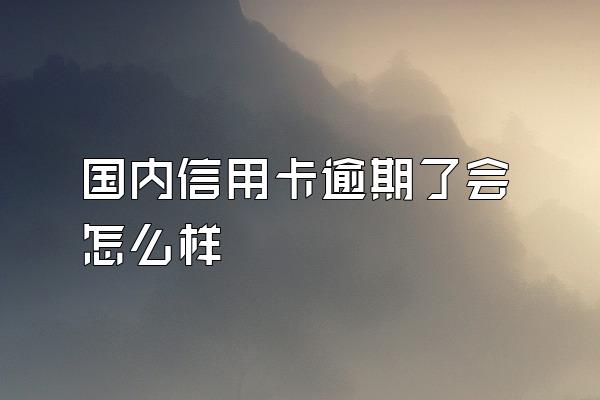 国内信用卡逾期了会怎么样