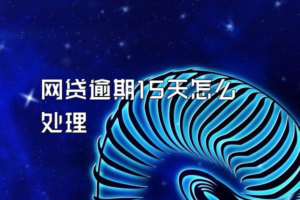 网贷逾期15天怎么处理