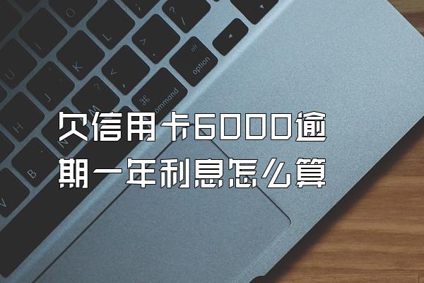 欠信用卡6000逾期一年利息怎么算