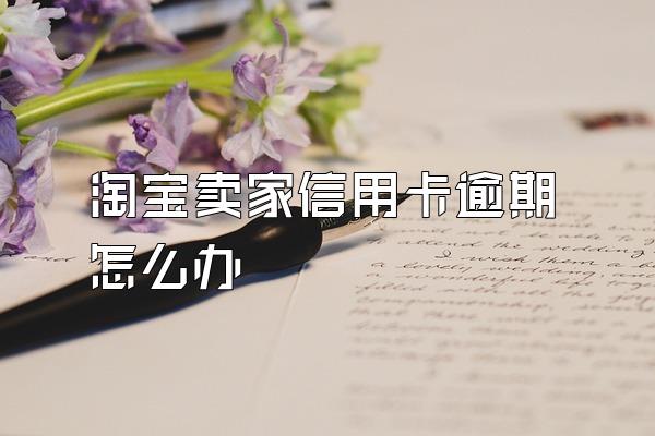 淘宝卖家信用卡逾期怎么办