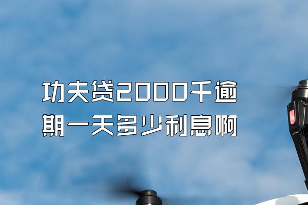 功夫贷2000千逾期一天多少利息啊