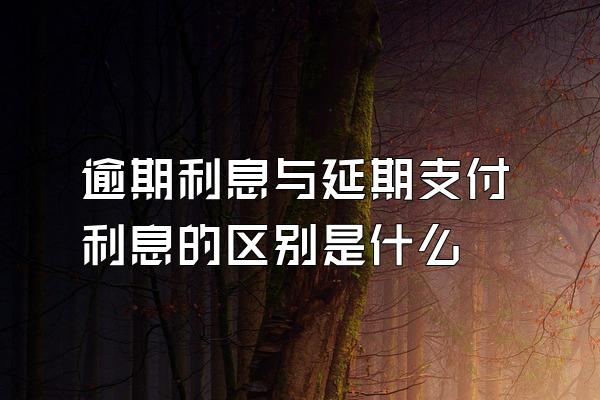 逾期利息与延期支付利息的区别是什么