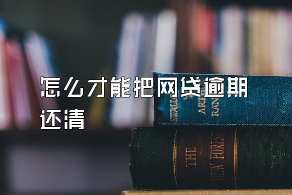 怎么才能把网贷逾期还清