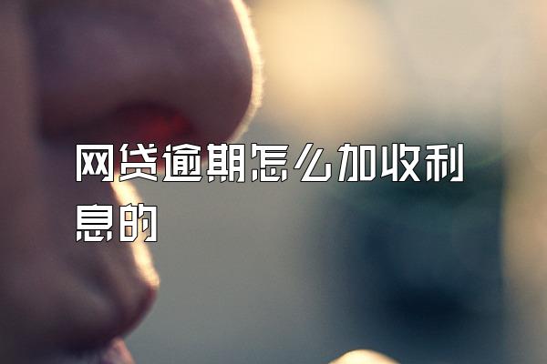 网贷逾期怎么加收利息的