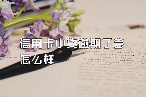 信用卡小贷逾期了会怎么样