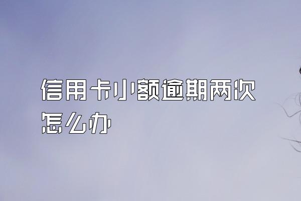 信用卡小额逾期两次怎么办