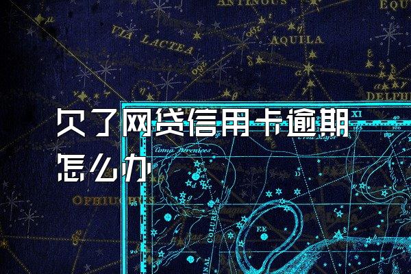 欠了网贷信用卡逾期怎么办