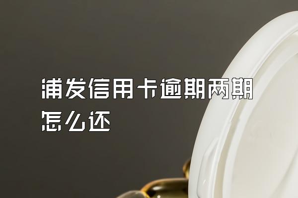 浦发信用卡逾期两期怎么还