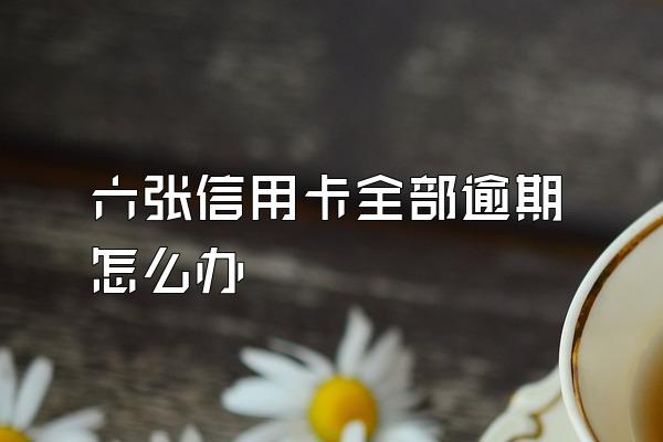 六张信用卡全部逾期怎么办