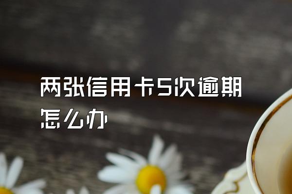 两张信用卡5次逾期怎么办