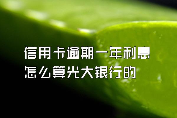 信用卡逾期一年利息怎么算光大银行的