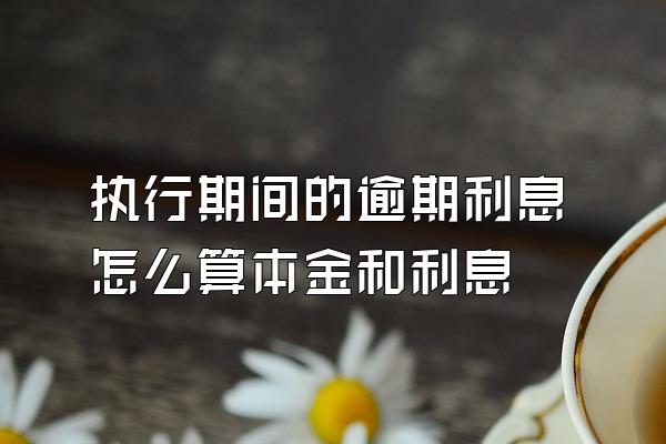 执行期间的逾期利息怎么算本金和利息