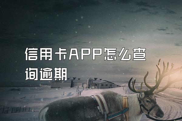 信用卡APP怎么查询逾期