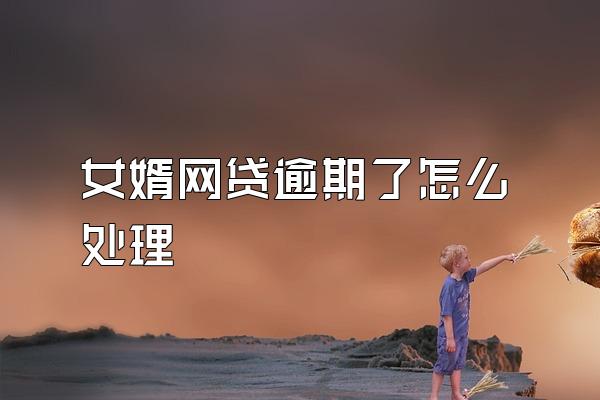 女婿网贷逾期了怎么处理