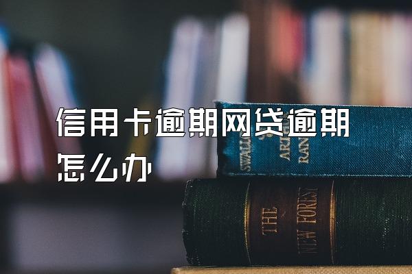 信用卡逾期网贷逾期怎么办