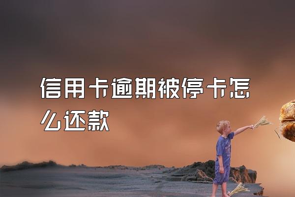 信用卡逾期被停卡怎么还款