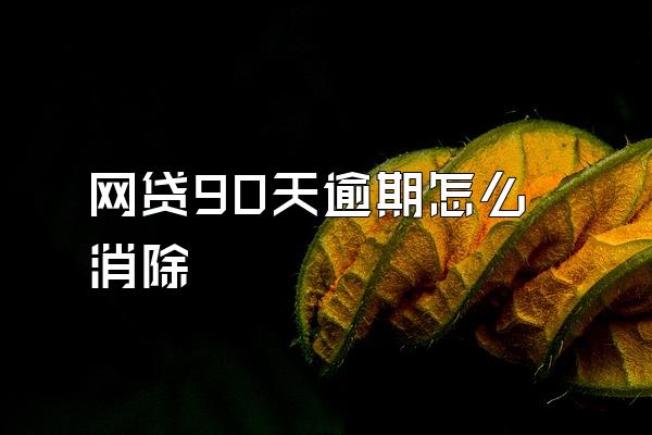 网贷90天逾期怎么消除