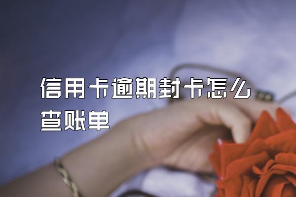 信用卡逾期封卡怎么查账单