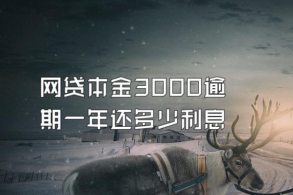 网贷本金3000逾期一年还多少利息