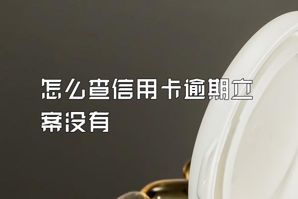 怎么查信用卡逾期立案没有