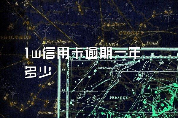 1w信用卡逾期一年多少