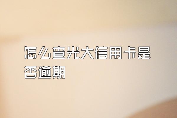 怎么查光大信用卡是否逾期