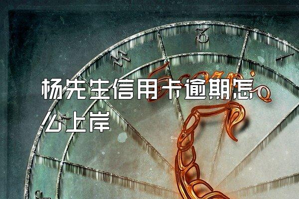 杨先生信用卡逾期怎么上岸