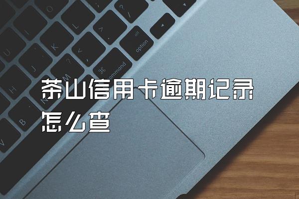 茶山信用卡逾期记录怎么查