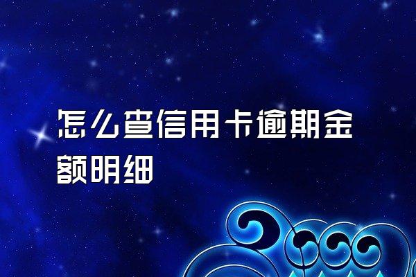 怎么查信用卡逾期金额明细