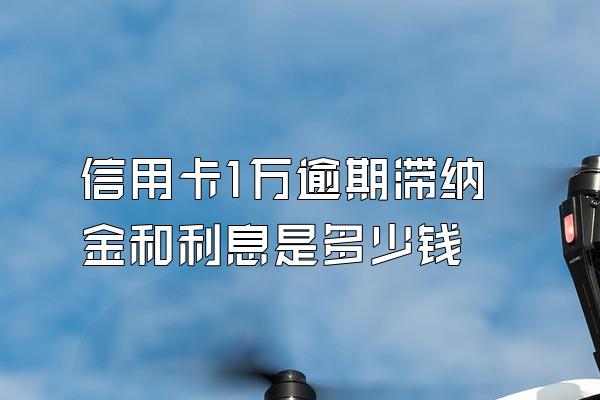 信用卡1万逾期滞纳金和利息是多少钱