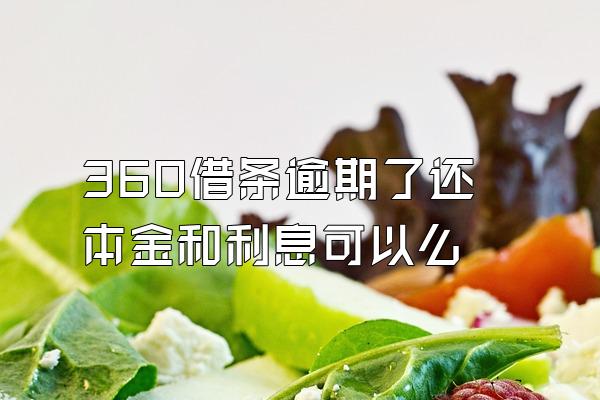 360借条逾期了还本金和利息可以么