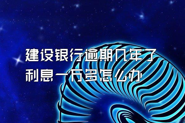 建设银行逾期几年了利息一万多怎么办