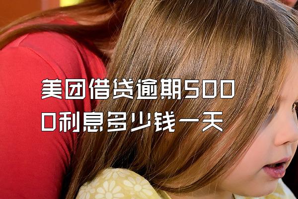 美团借贷逾期5000利息多少钱一天