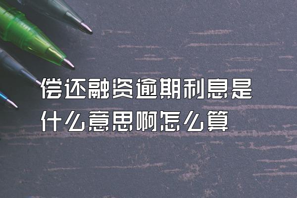 偿还融资逾期利息是什么意思啊怎么算