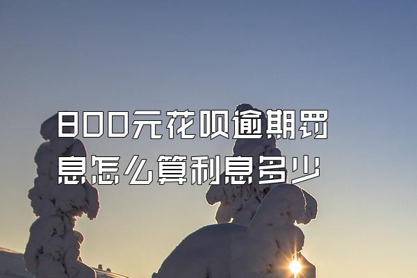 800元花呗逾期罚息怎么算利息多少