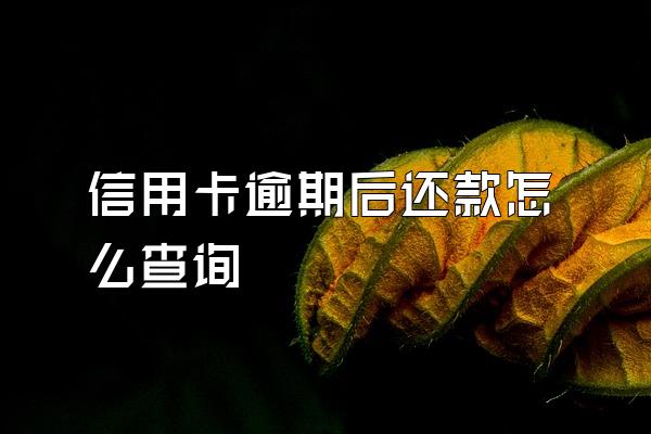 信用卡逾期后还款怎么查询