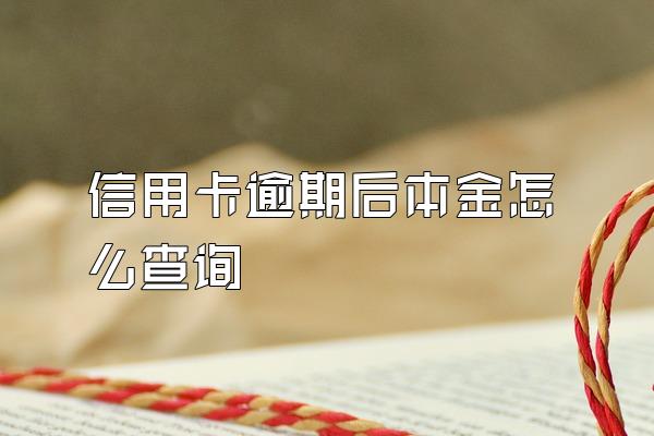 信用卡逾期后本金怎么查询