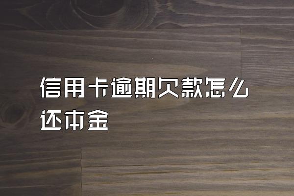 信用卡逾期欠款怎么还本金