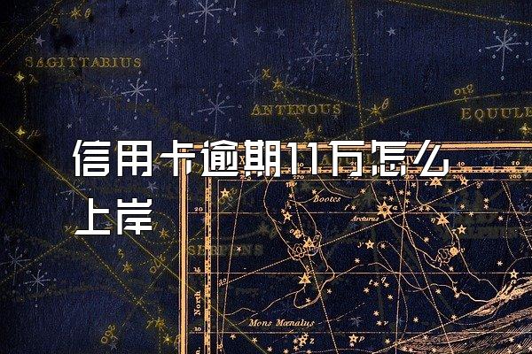 信用卡逾期11万怎么上岸