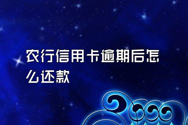 农行信用卡逾期后怎么还款