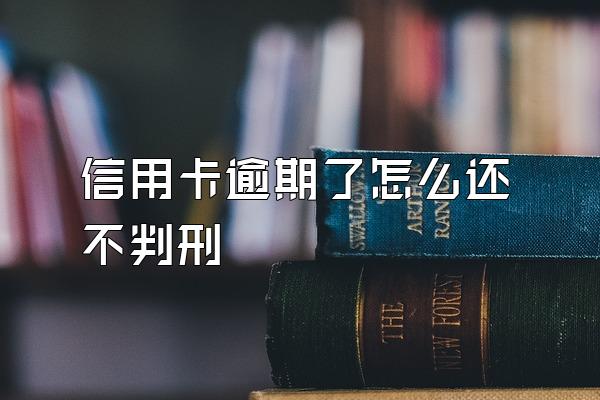 信用卡逾期了怎么还不判刑